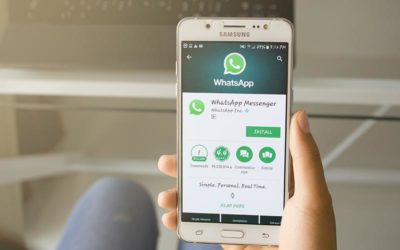 Whatsapp in Affari. Chat, Business e Startup